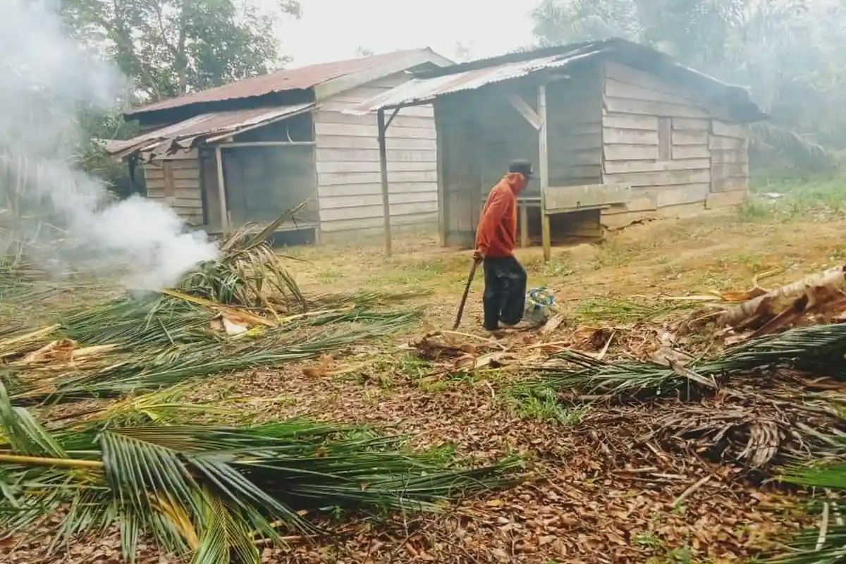 Pemukiman di Tebo yang Dimasuki 8 Ekor Gajah Ternyata Jalur Lintasan Satwa