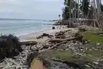 Abrasi Ancam Rumah Warga di Pesisir Desa Rawa Mangole Kepulauan Sula