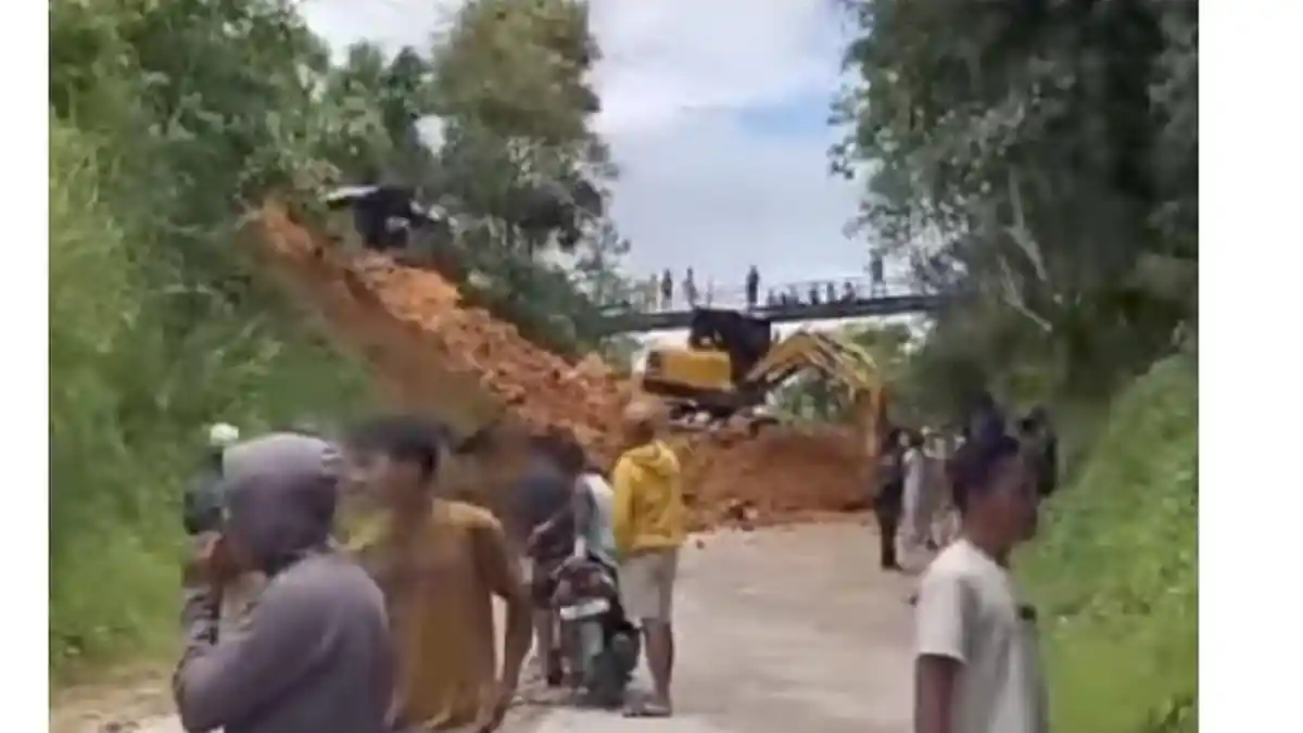 POPULER SUMBAR: Pohon Tumbang di Jalinsum Dharmasraya dan Longsor di Jalan Lintas Padang-Muara Labuh