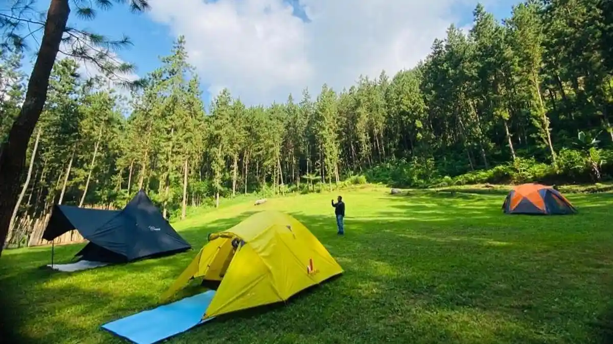 Hidden Gem di Rumah Angsa Glamping Tegal, Camping Dengan View Gunung Slamet, Ini Tarifnya