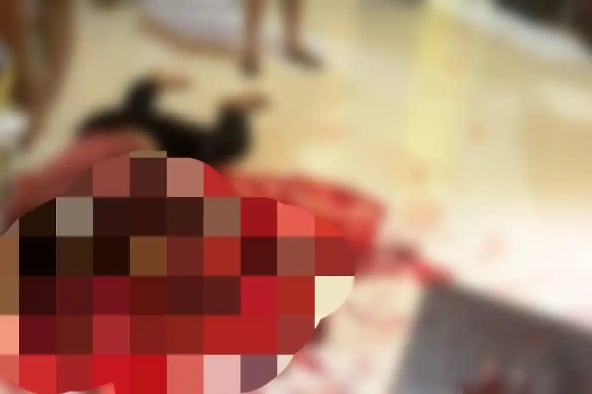 BREAKING NEWS Pria Kendari Tewas Bersimbah Darah Tubuh Penuh Sayatan, Terduga Pelaku Diamankan