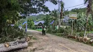 pohon-tumbang-di-Jalan-poros-Waliabuku.jpg