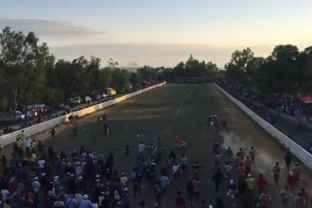 Viral Video Karapan Sapi Dihadiri Ribuan Orang, Satgas Sebut Tak Ada Izin, Polisi Periksa 3 Saksi