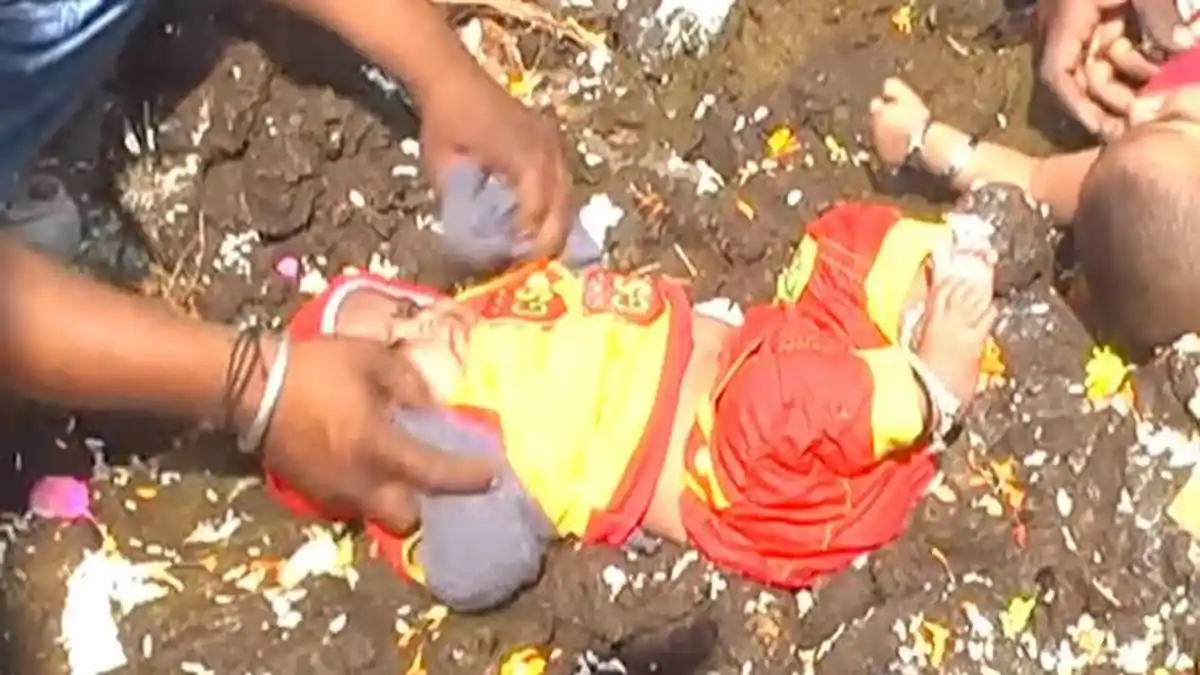 Hiii, Balita di India Dijeburkan ke Kotoran Sapi supaya Sehat