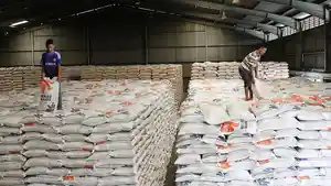 tumpukan-karung-beras-di-gudang-perum-bulog-divre-dki-jakarta_20180117_081350.jpg