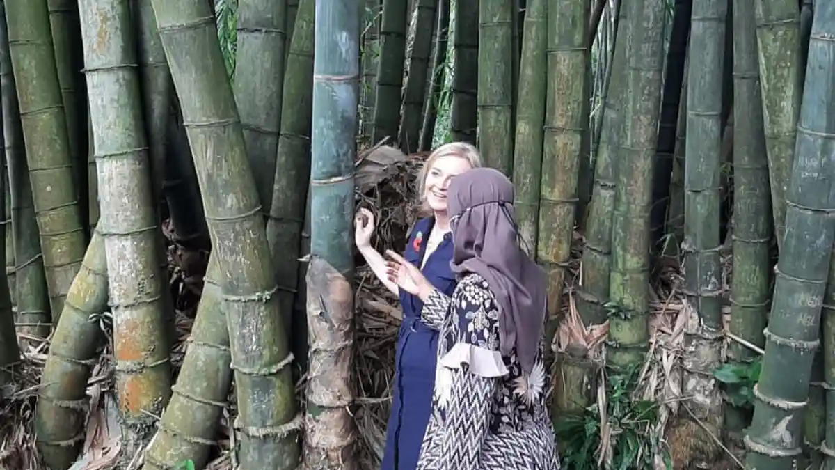 Berkunjung Ke Kebun Raya Bogor, Menlu Inggris Takjub Melihat Bambu Ukuran Besar