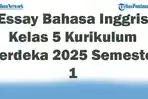 Soal-Jawaban-47-Essay-Bahasa-Inggris-Kelas-5-Kurikulum-Merdeka-2025-Semester-1.jpg