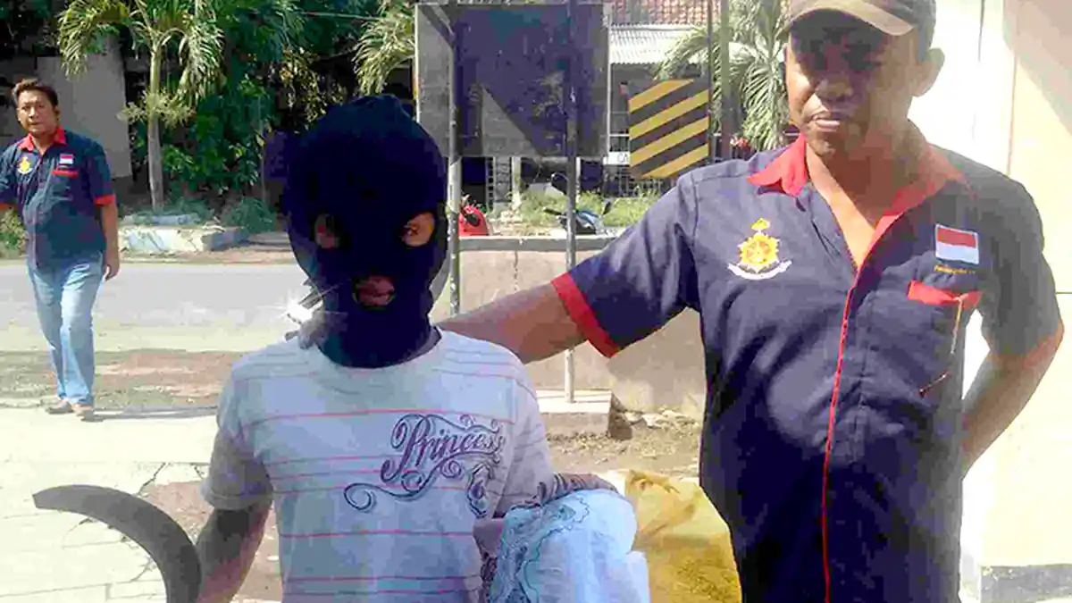 Sembunyi di Atas Pohon Kelapa, Maling Ini Sempat Tak Mau Disuruh Turun