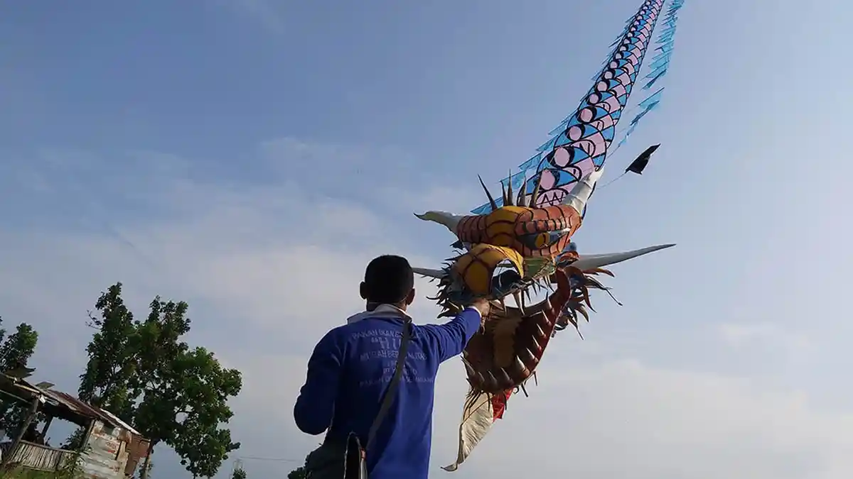 Layangan Unik Terbang di Tengah Sawah Pekalongan