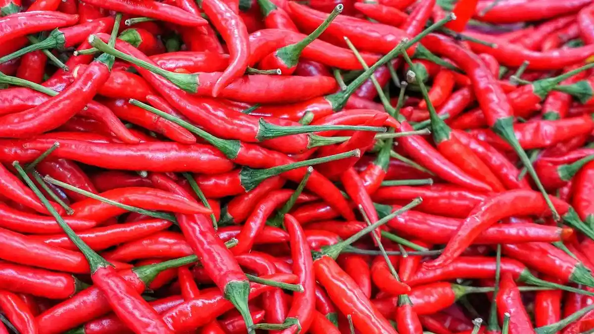 DAFTAR Harga Bahan Pokok di Bali 19 Agustus, Cabai Masih Tinggi Hari Ini