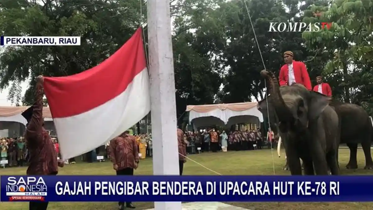Cerita Kibarkan Merah Putih, Paskibra Bertugas di Kubangan Lumpur ...