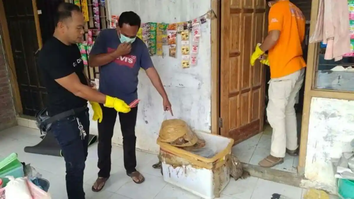 Seorang Ibu Rumah Tangga di Sumbawa Dibunuh Secara Sadis, Badannya Dimutilasi dan Disimpan di Kulkas