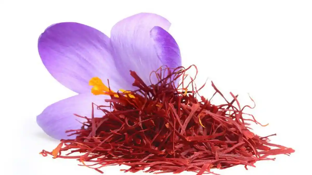 Mengenal Manfaat Saffron, Putik Bunga Kaya Kandungan Baik, dari Mencegah Kanker Hingga Obati Depresi