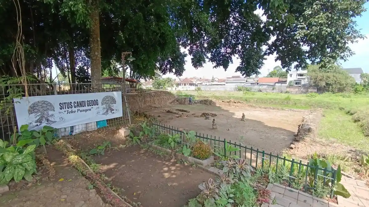 Monitoring Candi Gedog Kota Blitar, BPK Jatim Temukan Bata Struktur Candi Banyak Lepas 