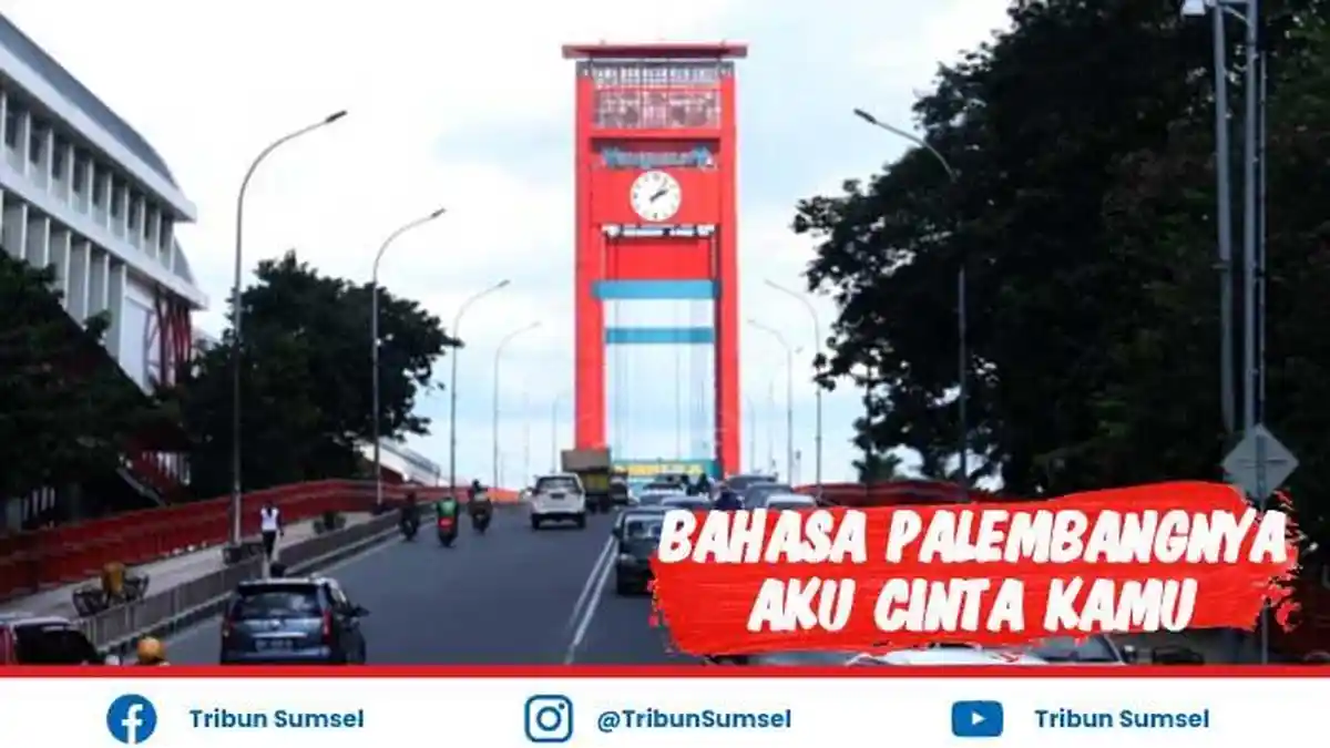 Apa Bahasa Palembang Aku Cinta Kamu, Kamus Bahasa Palembang Online Lengkap 2022