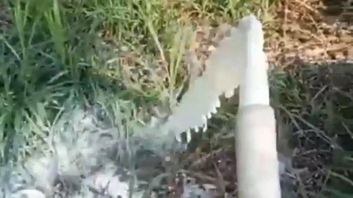 Viral Peternak Boyolali Buang Ratusan Ton Susu Sapi, Pimpinan DPR Minta  Prioritaskan Peternak Lokal
