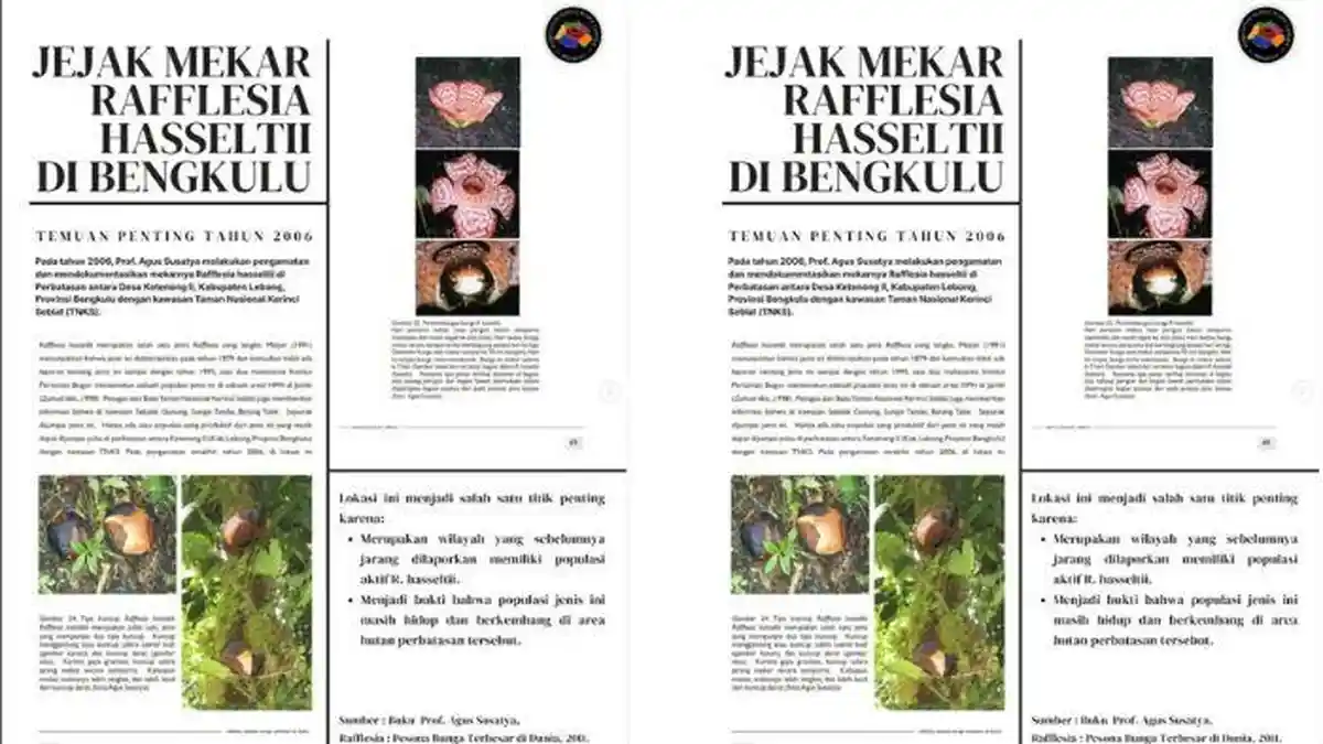 Klarifikasi KPPL Bengkulu Terkait Penemuan Kembali Rafflesia Hasselti- Keterlibatan dalam Riset BRIN