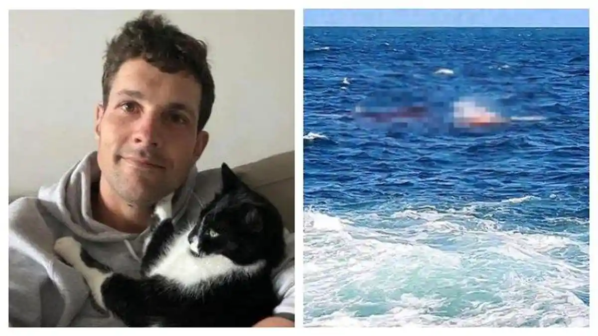 Nasib Tragis Pria di Australia Tewas Diserang Hiu, Orang Lain hanya Bisa Lihat dari Jauh