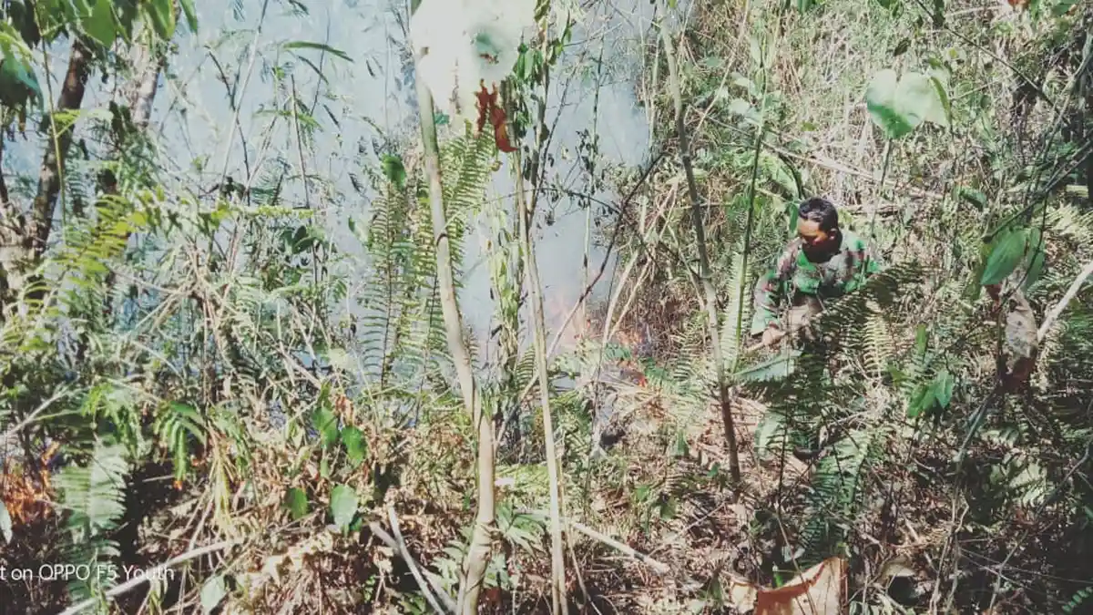 Kebakaran Hutan di Gunung Klabat Mengancam Ekosistem