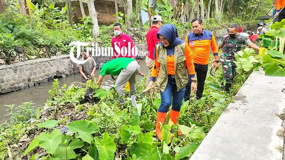 Bupati Klaten Turun Tangan Bersihkan Sungai di Kawasan Rowo Jombor : Demi Antisipasi Banjir