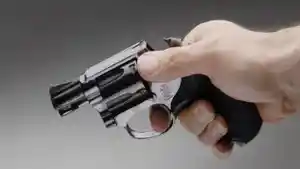 ilustrasi-pistol-nih.jpg