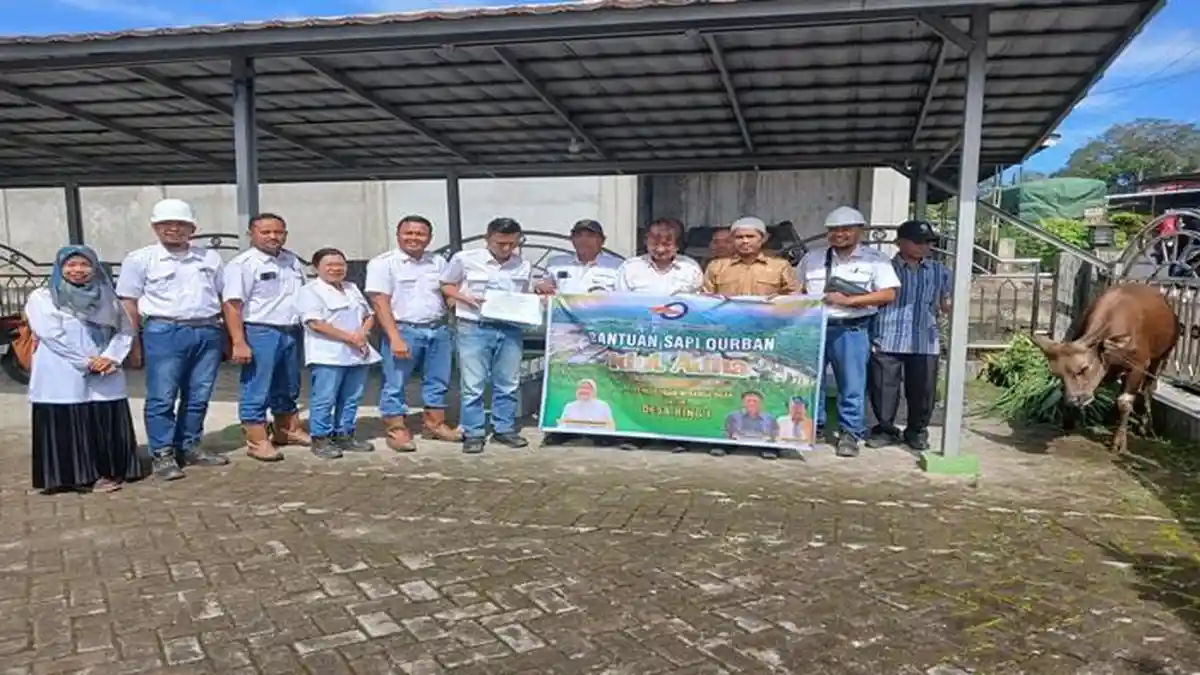 Idul Adha 2026, PT Minanga Ogan Salurkan 9 Ekor Sapi Kurban untuk Warga dan Karyawan