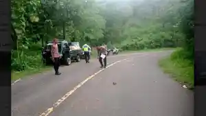kecelakaan-lalu-lintas-di-jalan-raya-trans-maumere.jpg