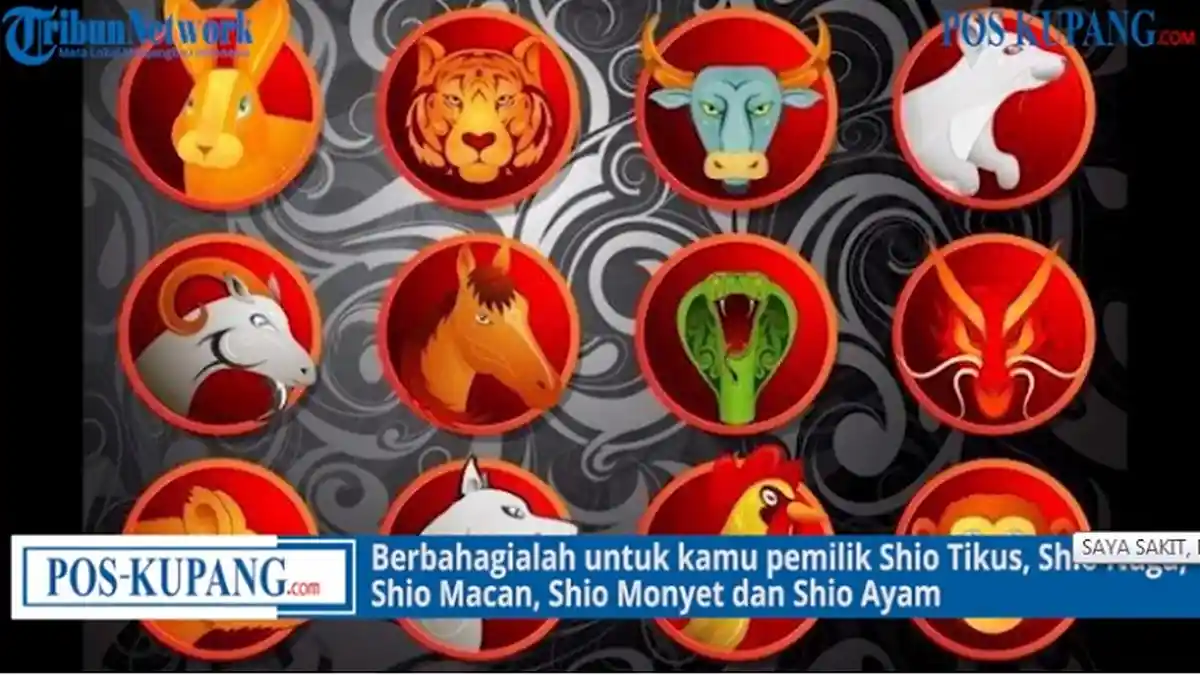 Ramalan Shio Rabu 13 Oktober 2021 :Macan Jatuh Kuda Kecewa Karena Asmara Anjing Waspada Penipu