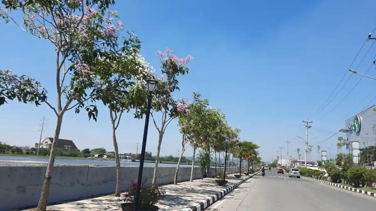 Gencar Gandeng Program CSR, Disperkim Kota Semarang Sebar Penanaman 9.000 Batang Pohon Penghijauan