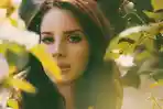 lirik-lagu-Playing-Dangerous-Lana-Del-Rey-yang-viral-di-TikTok.jpg