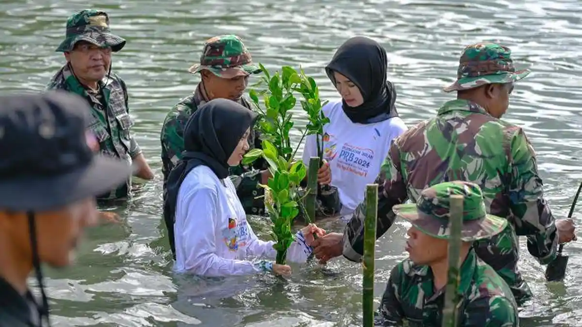 FOTO BNPB Tanam 2.600 Bibit Mangrove di Kuala Cangkoi Ulee Lheue Banda Aceh - Tanam-Manggrove-Bulan-PRB_06.jpg