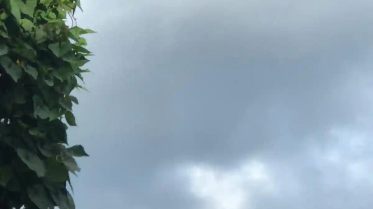 Cuaca Gorontalo Selasa 26 Juli 2022 Besok, BMKG: Hujan Lebat dan Angin Kencang di 6 Wilayah