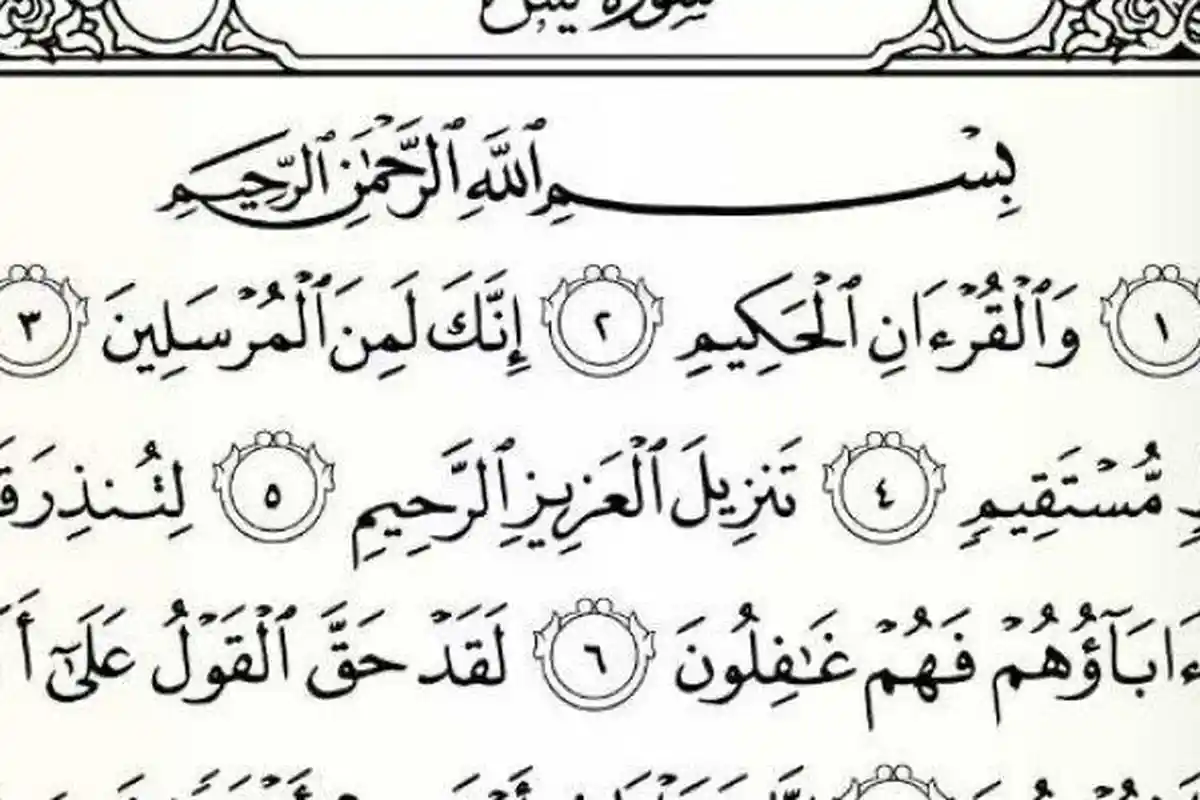 Yalangoch etuk ayollar bir Dick xususiy foto galereyasi