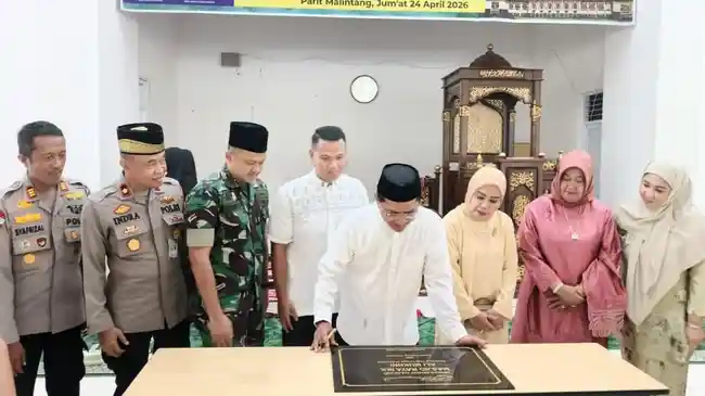 Tribun