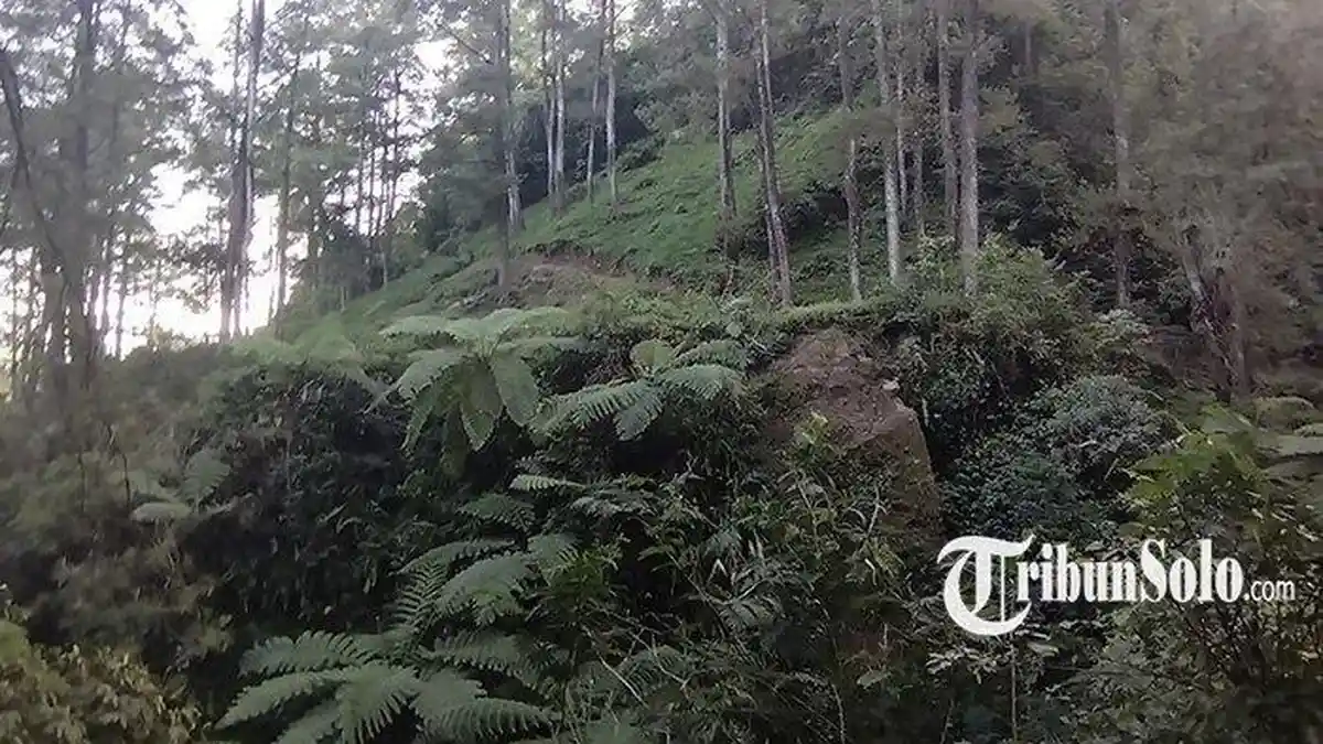Jejak Kelam Kampung Siluman di Klaten, Cuma Berjarak 5 Kilometer Dari Puncak Gunung Merapi