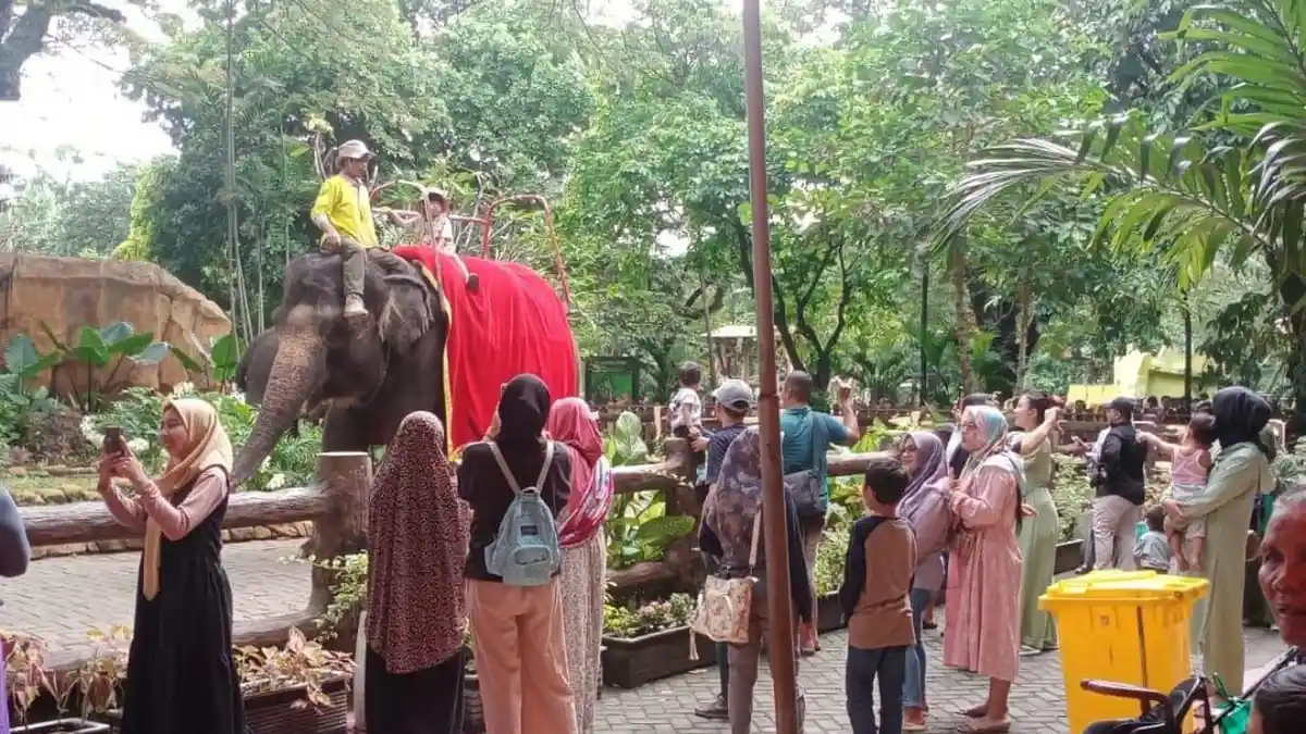 Berikut Harga Tiket Masuk KBS Terbaru saat Libur Lebaran 2024, Simak Juga Wahana Serunya