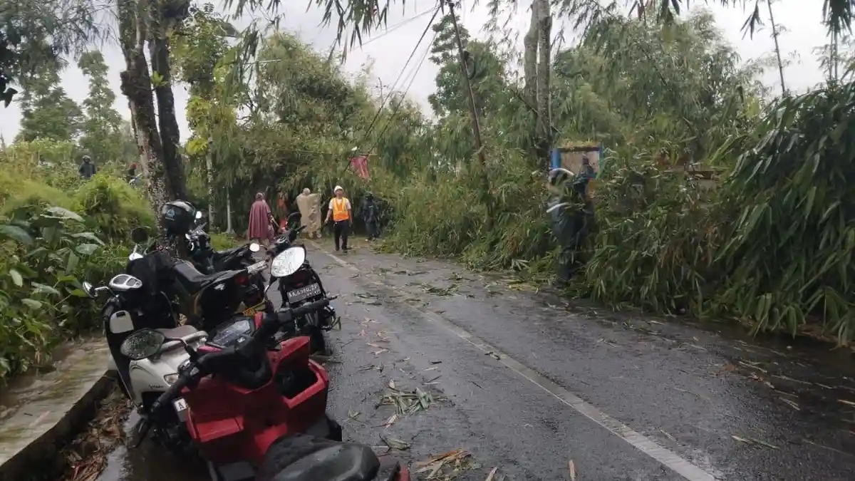 Update Jalan Ditutup di Wonosobo Karena Longsor, Petugas Gabungan Diterjunkan