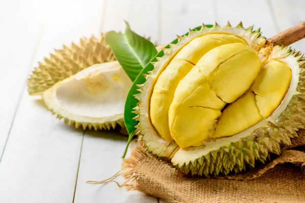 Bahayanya Bisa Fatal Hingga Gangguan Jantung, Jangan Makan Durian Bersamaan Makanan & Minuman Ini