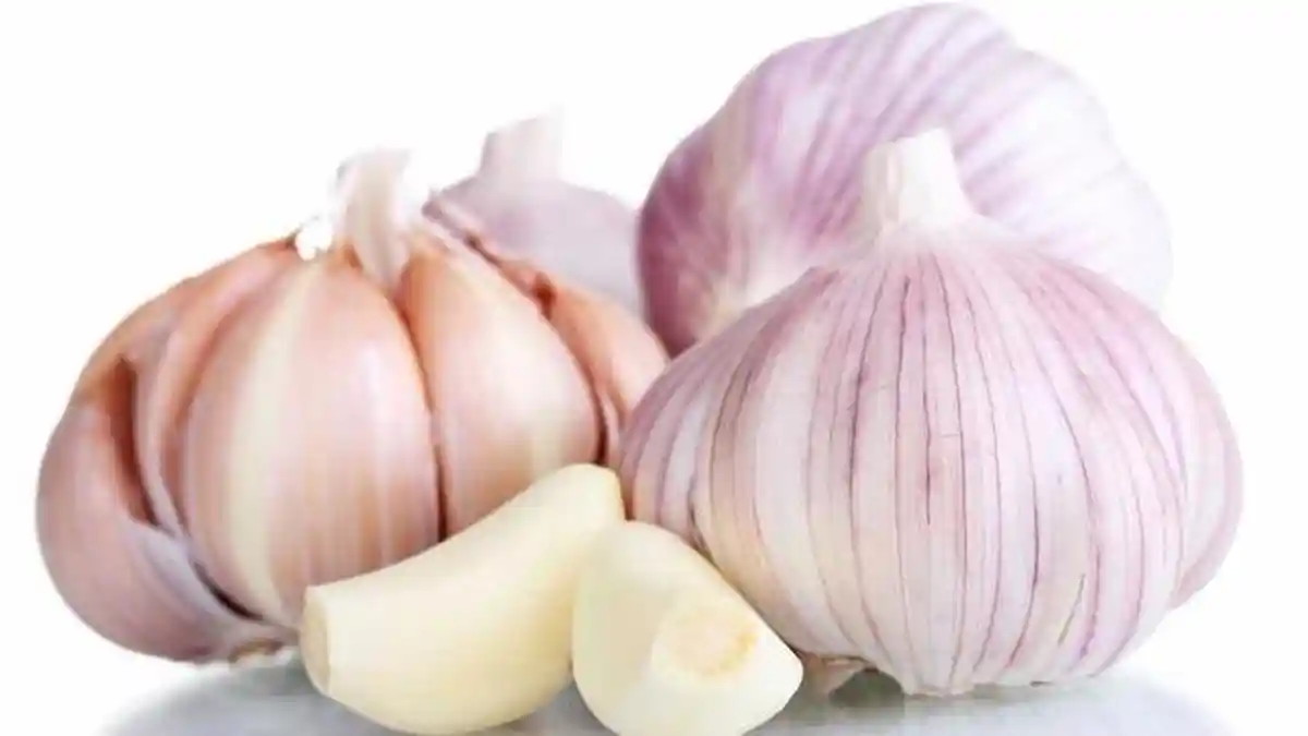Begini Cara Makan Bawang Putih, Ampuh Jaga Imun hingga Menghilangkan Flu