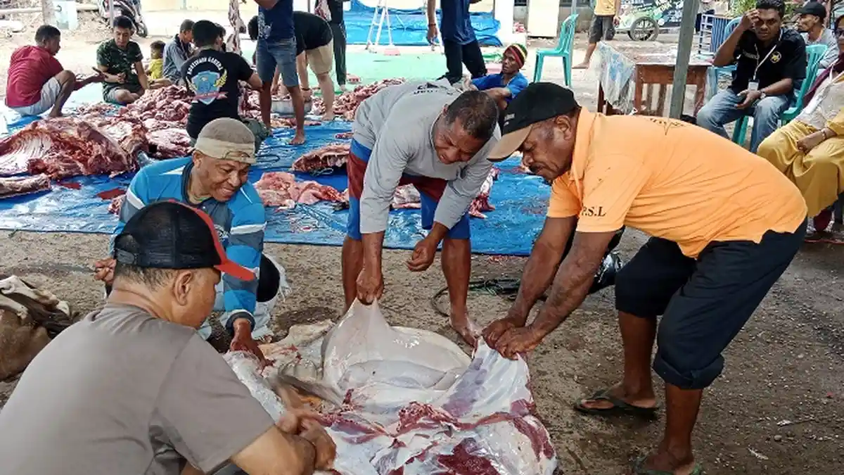Merawat Toleransi Umat Beragama Di Perbatasan Indonesia-Timor Leste Lewat Daging Kurban