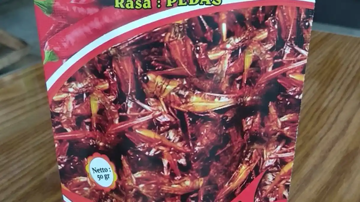 Mau Beli Oleh-oleh? Ini Dia 5 Oleh-oleh Kekinian Khas Majalengka
