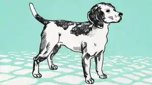 Ilustrasi-Shio-Anjing-Imlek-2026.jpg