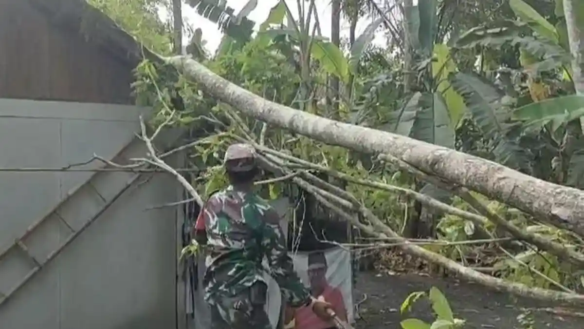 Angin Kencang Gandrungmangu Cilacap Rusak 13 Rumah