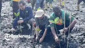 20260502_tanam-mangrove-lestarikan-lingkungan-papua-barat-daya.jpg