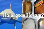 Ikan Hiu Halal atau Haram? Penjelasan Hadis soal Hewan Laut Lengkap dengan Pertimbangan Kesehatan