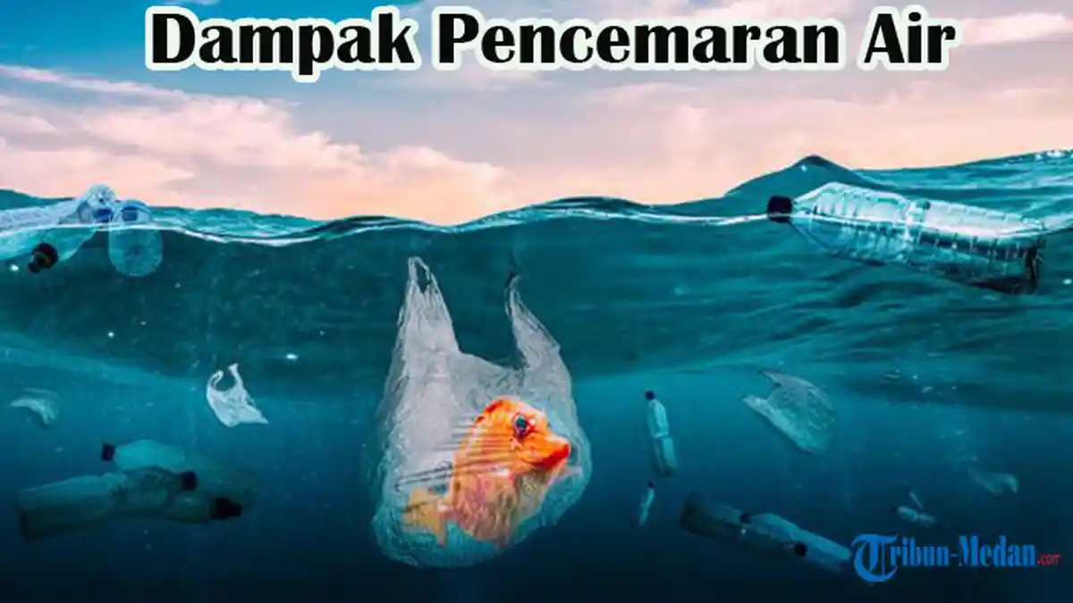 Materi Belajar Kelas 7: Pengertian, Penyebab, dan Dampak Pencemaran Air