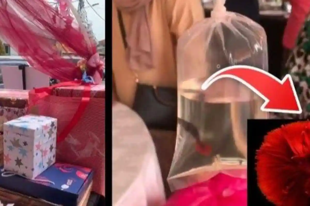 Nasib Pengantin Anyar Dihujat Gegara Suvenir, Beri Tamu Ikan Cupang di Plastik, Dalih ‘Hemat Biaya’