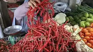 20251024-Harga-Cabai-Merah-di-Sungailiat.jpg