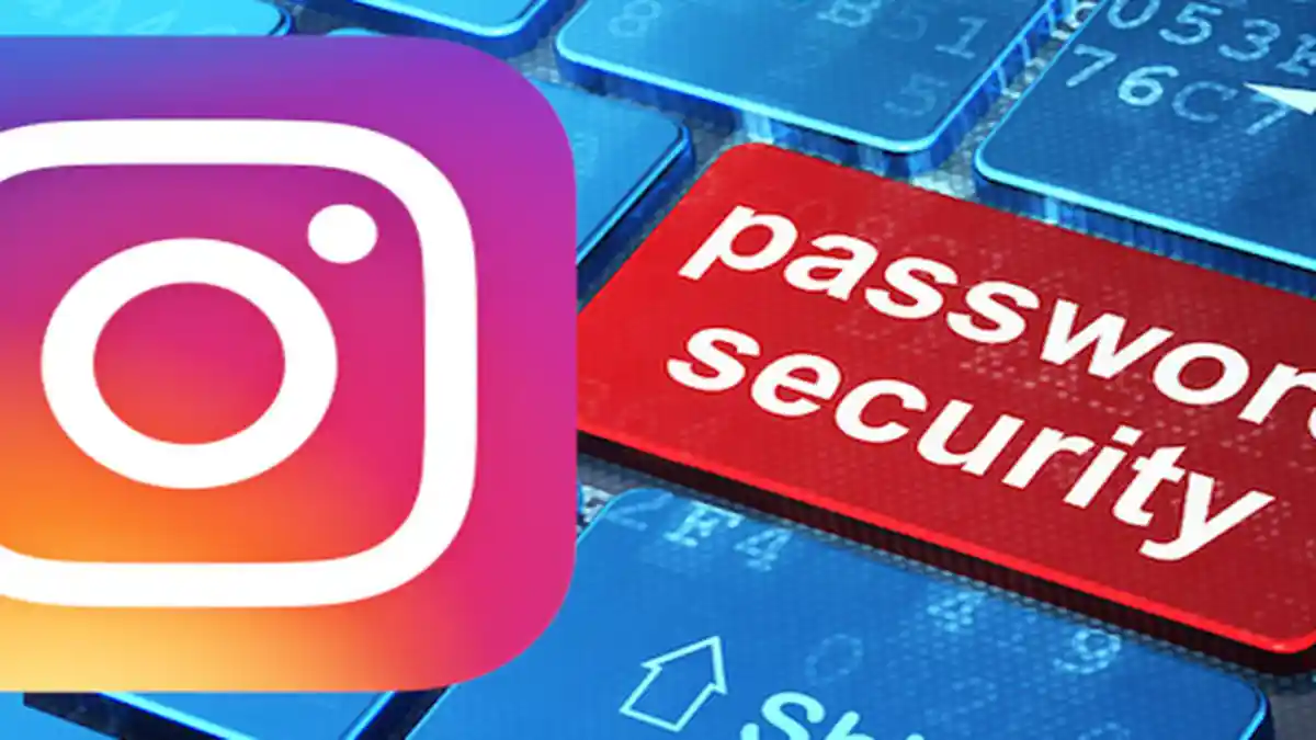 Penyebab Kebocoran Data 6 Juta Akun Instagram Seleb & Influencer Terpecahkan, Ternyata ini Pelakunya
