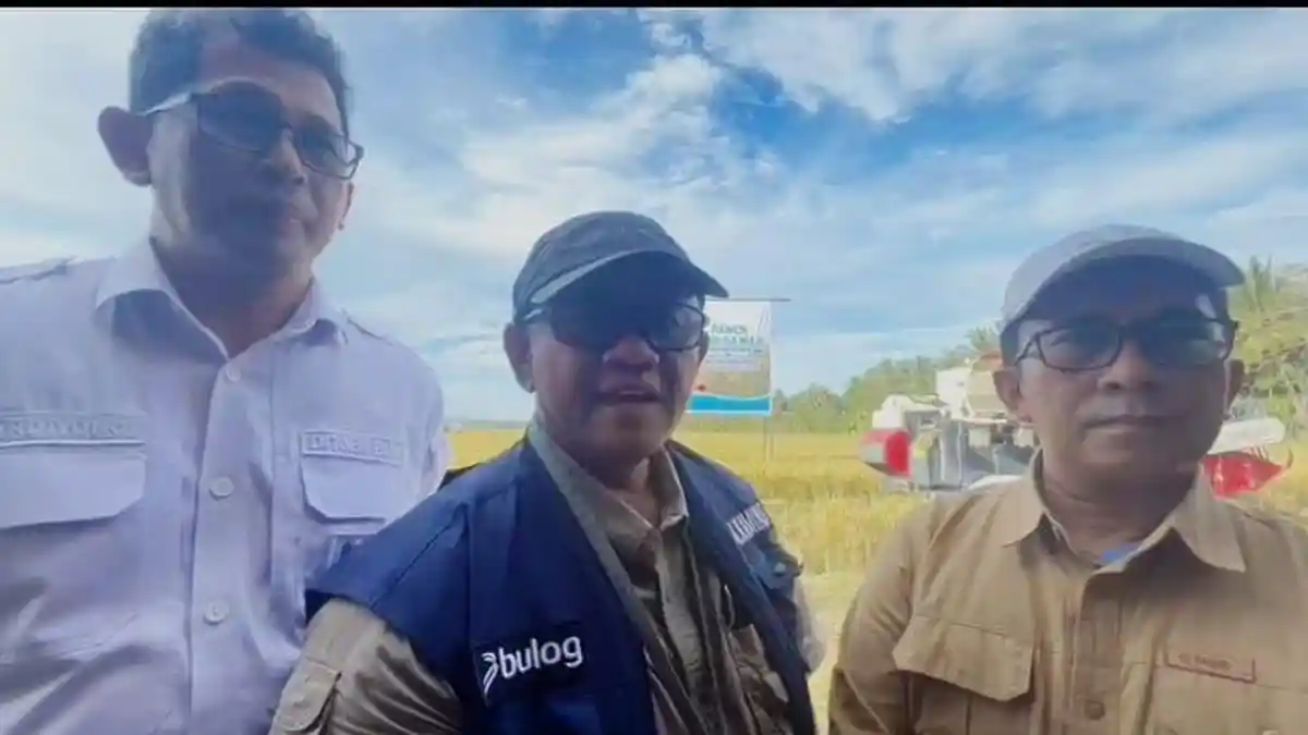 Penyaluran Beras SPHP Sementara Dihentikan, Begini Penjelasan Kabulog Maluku-Malut